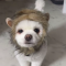 대표 사진