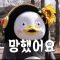대표 사진