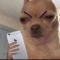 대표 사진