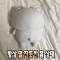 대표 사진