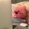 대표 사진
