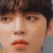 대표 사진