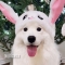대표 사진
