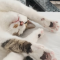 대표 사진