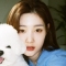 대표 사진