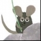 대표 사진