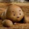 대표 사진
