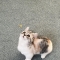 대표 사진