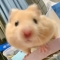 대표 사진