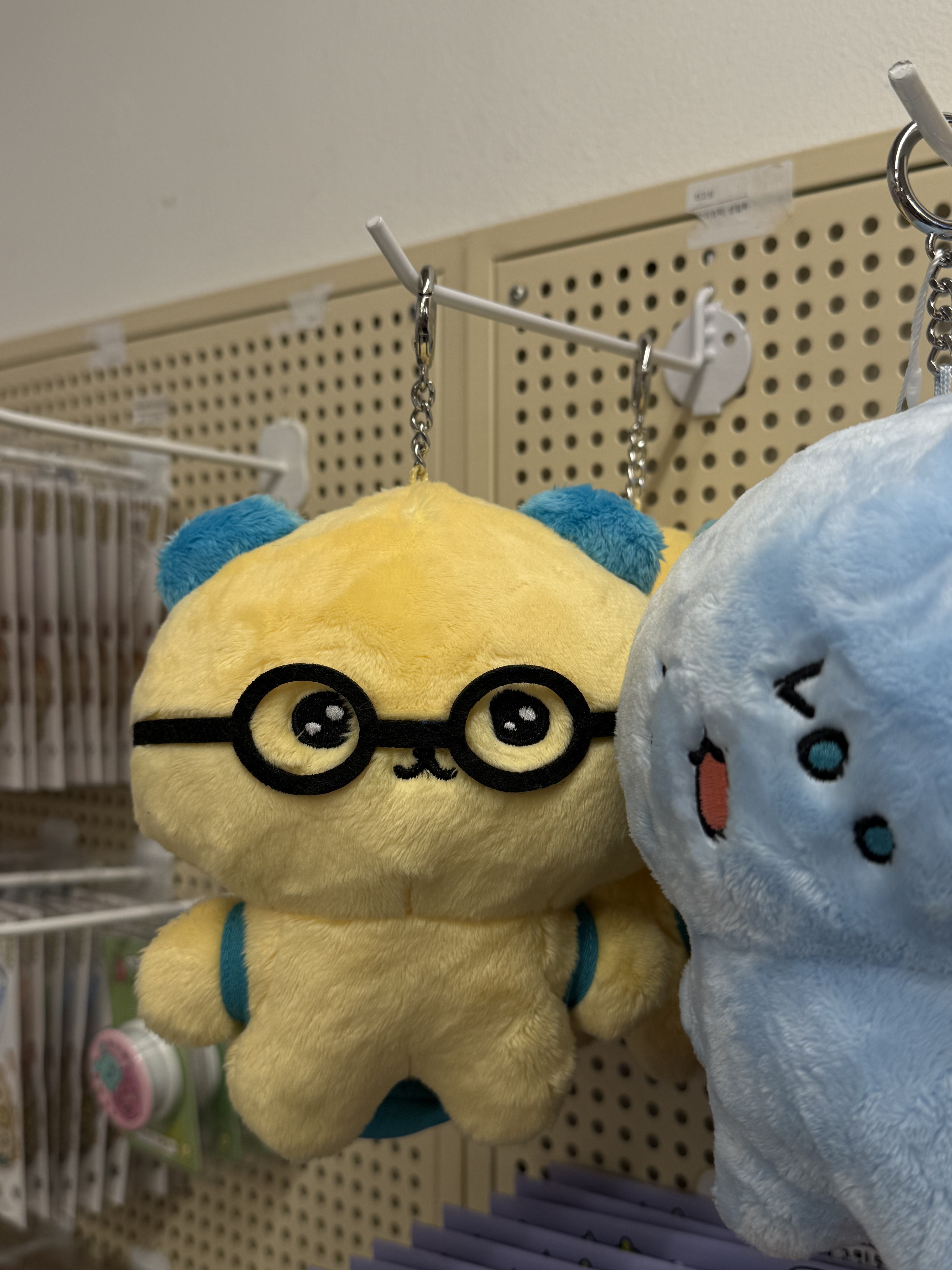 대표 사진