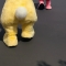 대표 사진