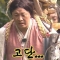 대표 사진
