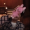 대표 사진
