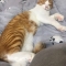 대표 사진