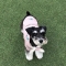 대표 사진