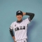대표 사진