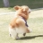 대표 사진