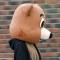 대표 사진