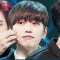 대표 사진