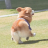 대표 사진