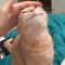 대표 사진