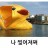 대표 사진
