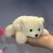 대표 사진