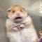 대표 사진