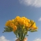 대표 사진