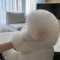 대표 사진