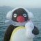 대표 사진