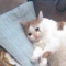 대표 사진