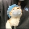 대표 사진