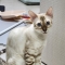 대표 사진