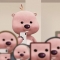 대표 사진