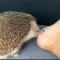 대표 사진