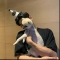 대표 사진