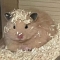 대표 사진