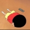 대표 사진
