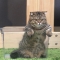 대표 사진
