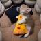 대표 사진