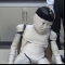 대표 사진