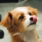 대표 사진