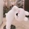 대표 사진