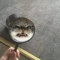 대표 사진