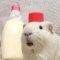 대표 사진