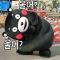 대표 사진