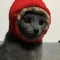 대표 사진
