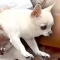 대표 사진