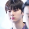대표 사진